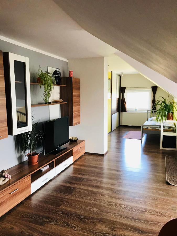 Cyklonocleh Apartment Veselí nad Moravou Екстериор снимка